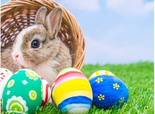 The Origins of the Easter Bunny￼
