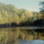 Mary Lake: The Lost Lake of Immaculata University